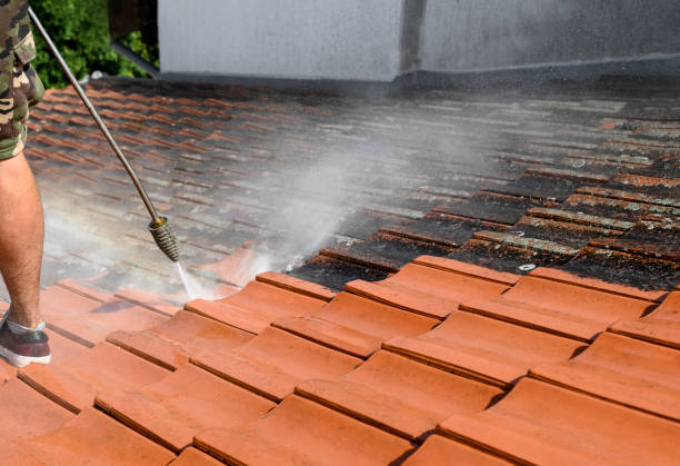 Best Pressure Washing Patio  in South Rosemary, NC