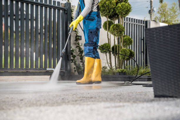 Best Roof Power Washing Services  in South Rosemary, NC