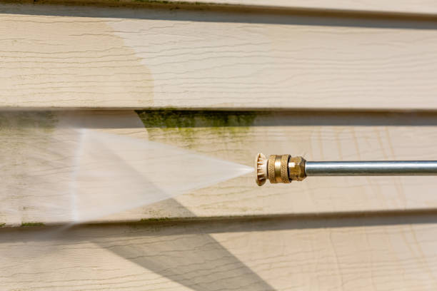 Best Best Pressure Washing Companies  in South Rosemary, NC