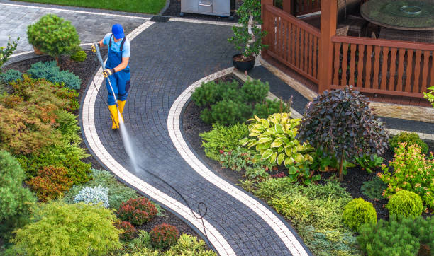 Best Roof Pressure Washing  in South Rosemary, NC